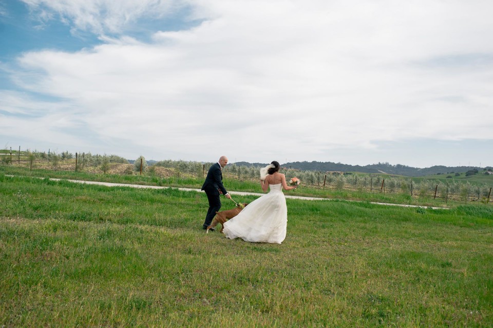 Wedding photography by Jonathan Roberts at Edna Valley in San Luis Obispo