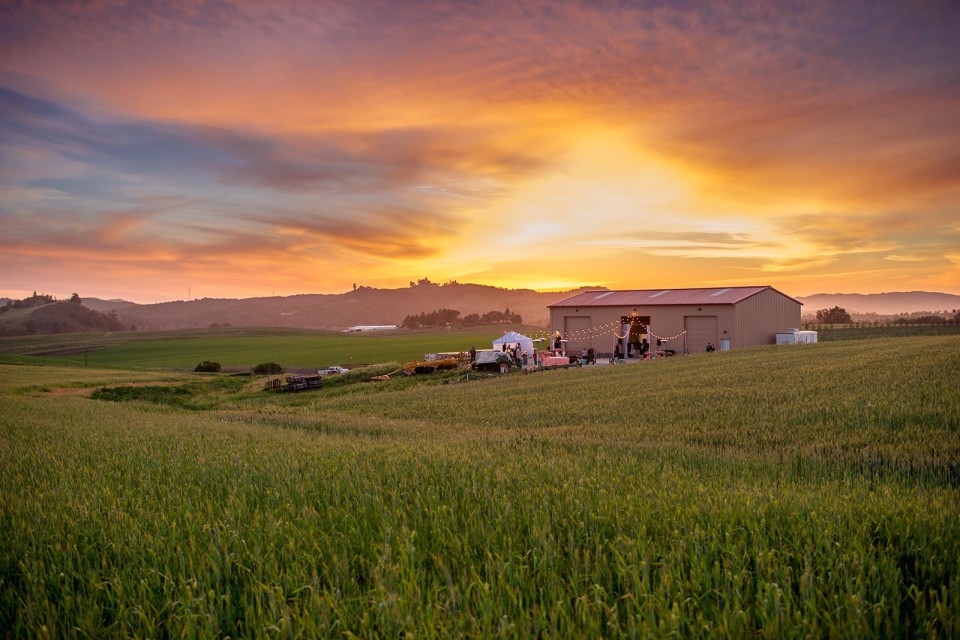 Wedding photography by Jonathan Roberts at Edna Valley in San Luis Obispo