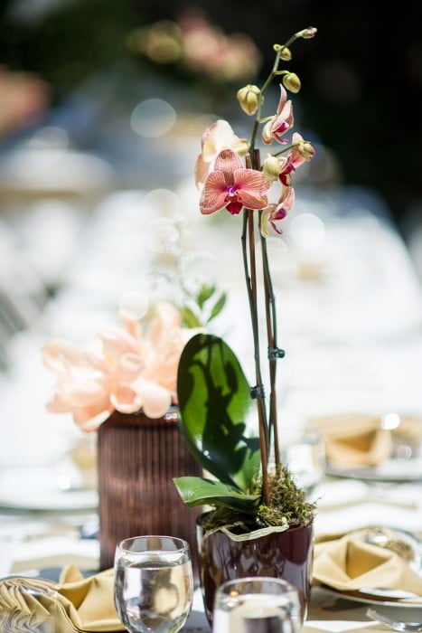 Wedding photography by Jonathan Roberts at Dallidet Adobe in San Luis Obispo