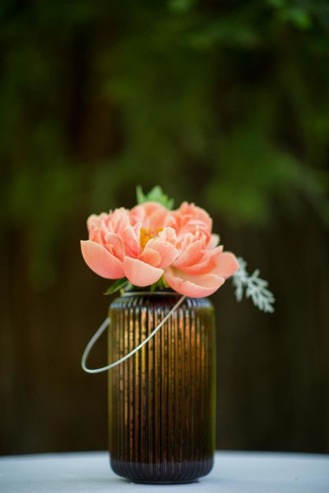 Wedding photography by Jonathan Roberts at Dallidet Adobe in San Luis Obispo