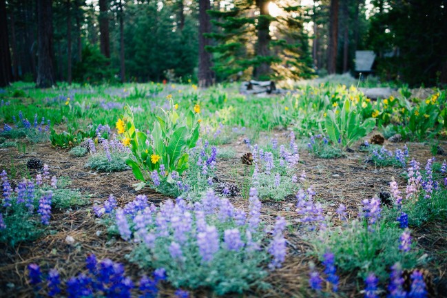 Wedding photography by Jonathan Roberts at Valhalla in Lake Tahoe