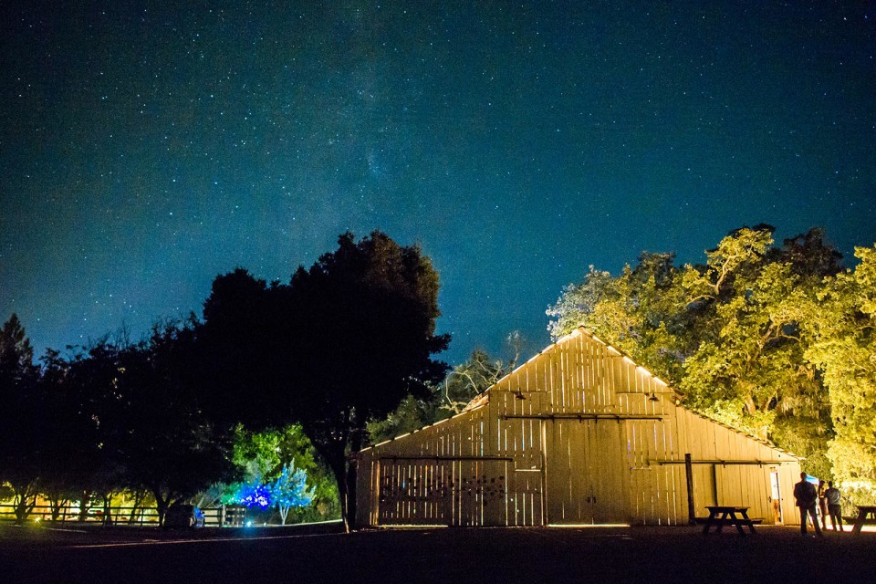 Wedding photography by Jonathan Roberts at Halter Ranch Winery in Paso Robles