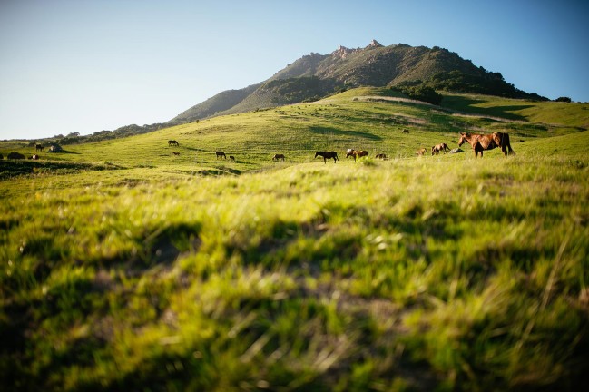 Engagement photography by Jonathan Roberts in San Luis Obispo, California