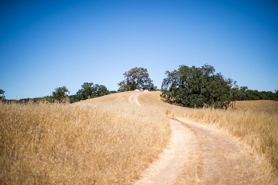 Wedding photography by Jonathan Roberts at Lago Giuseppe Winery in Templeton