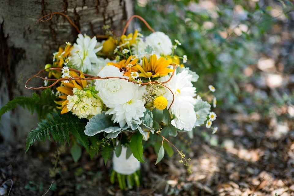 Wedding photography by Jonathan Roberts at Lago Giuseppe Winery in Templeton