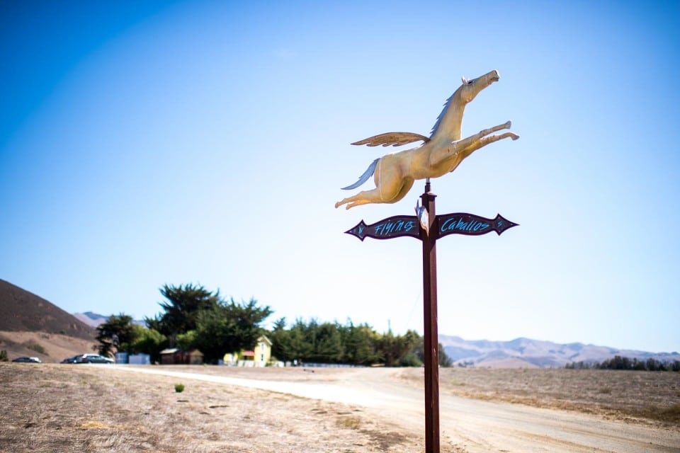 Wedding photography by Jonathan Roberts at Flying Caballos Ranch in San Luis Obispo